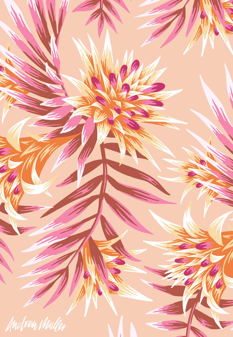 Aechmea Fasciata floral print peach illustration by Andrea Muller