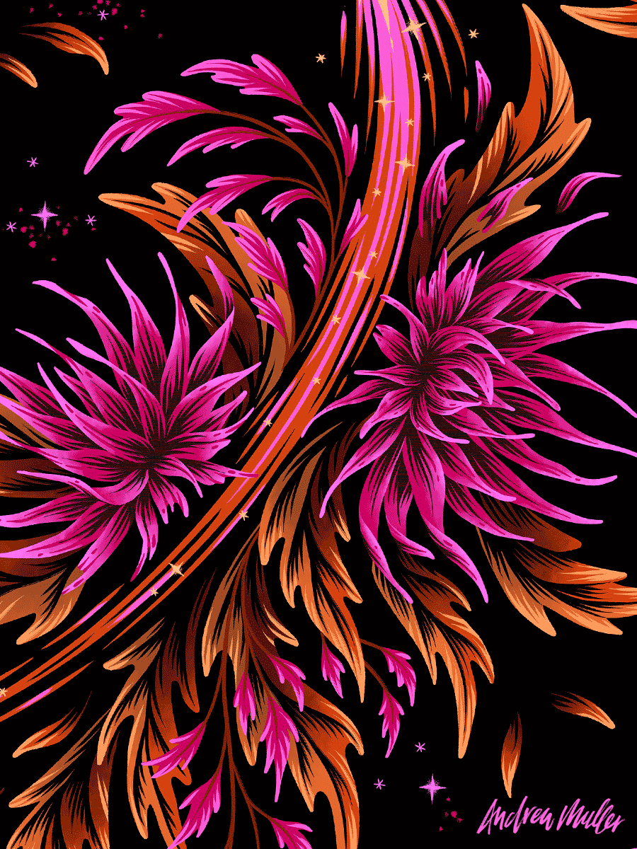 Floral Supernova pink and orange illustration by Andrea Muller