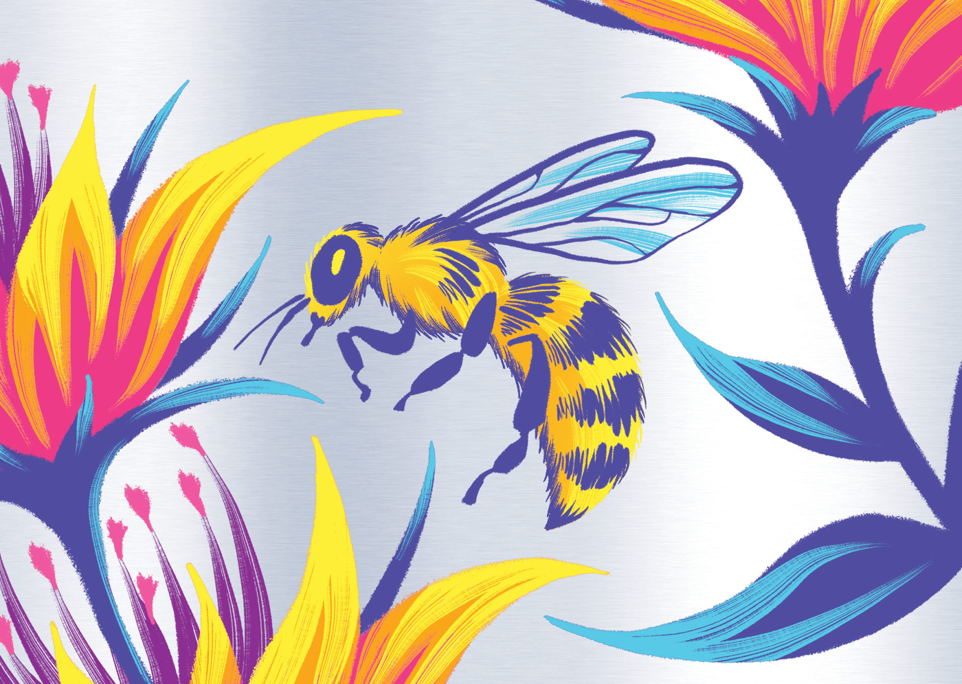 Honey bee illustration beer can artwork by Andrea Muller