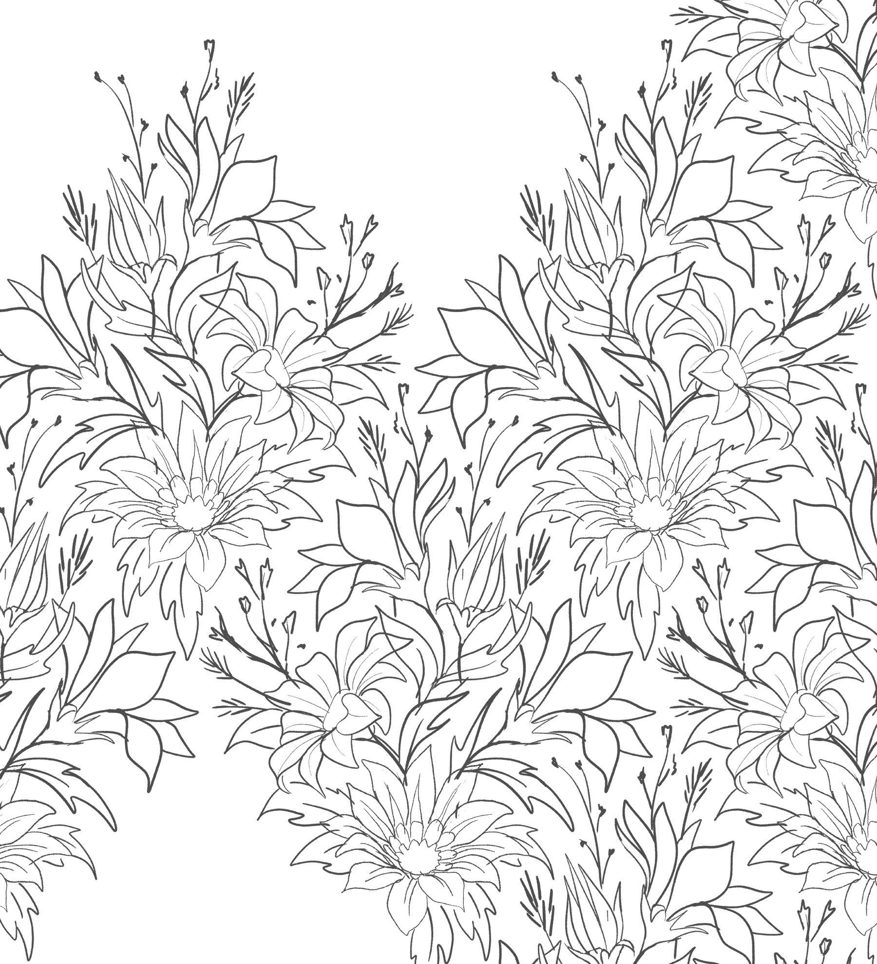 Gazania floral pattern concept art sketch by Andrea Muller