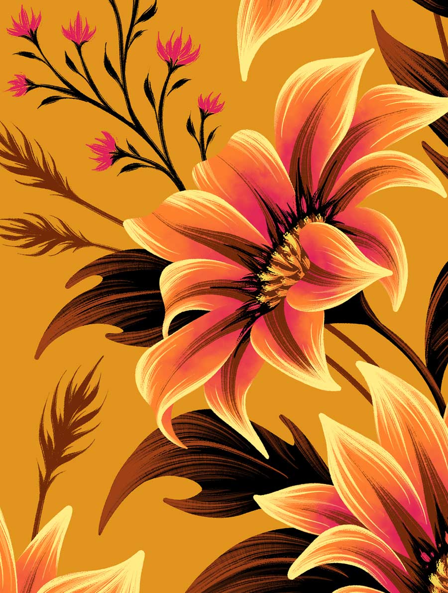 Gazania orange flower illustration by Andrea Muller
