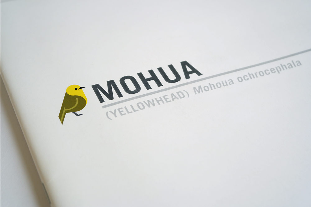 Mohua Report cover detail