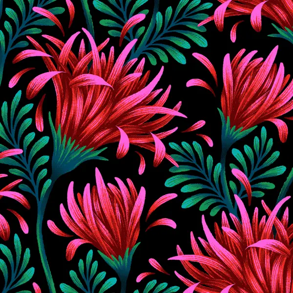 Pink daisy flower illustrated pattern by Andrea Muller