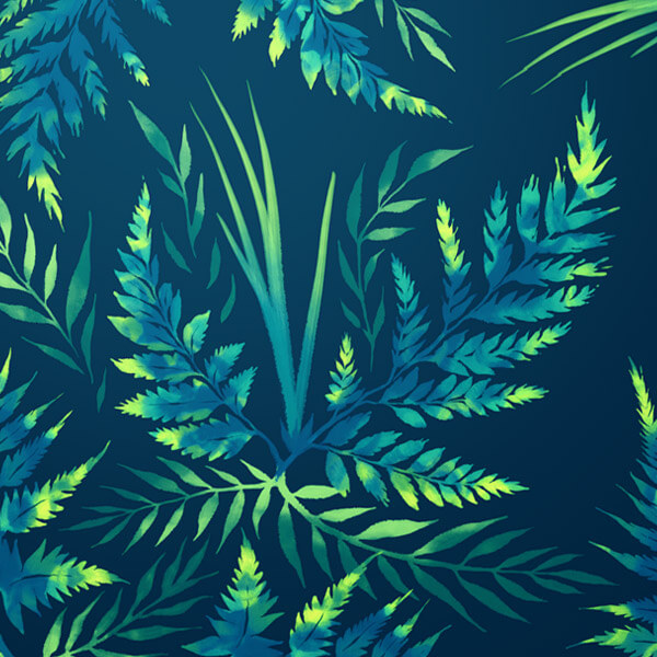 Fern leaves collection by Andrea Muller