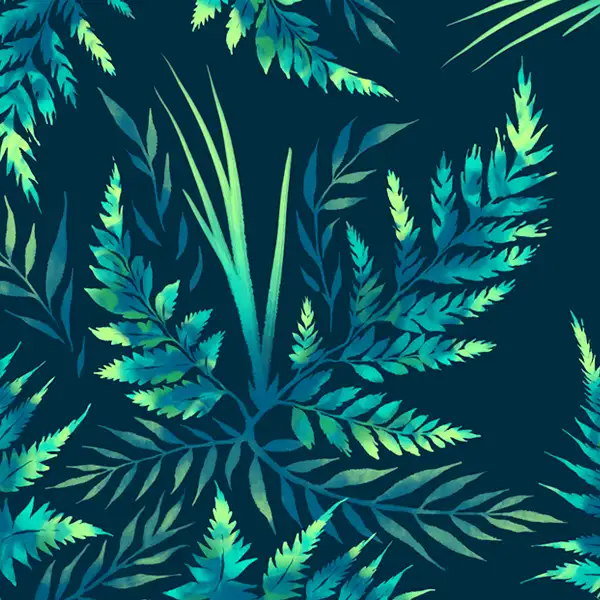 Fern leaves collection by Andrea Muller