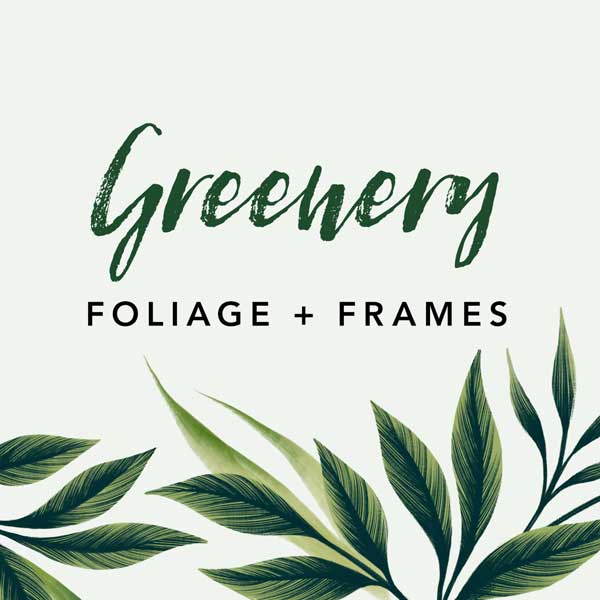 Greenery foliage and frames downloadable illustration set by Andrea Muller