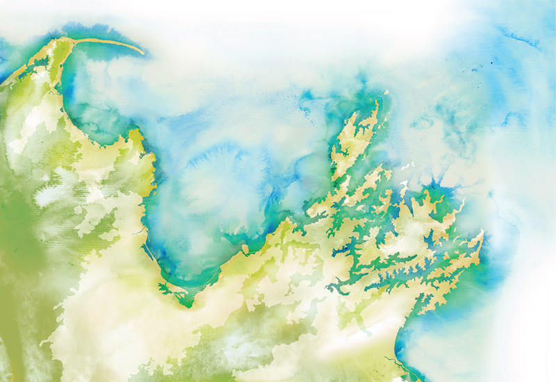 Watercolor Tasman Bay Map