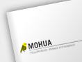 Mohua: New Zealand endangered forest bird