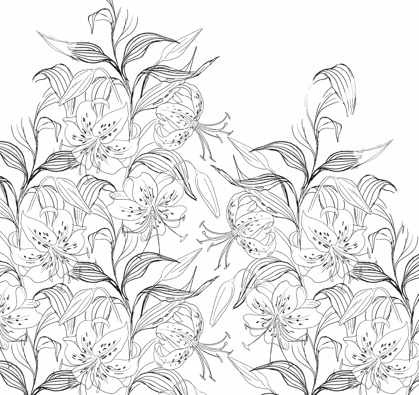 Tiger Lily floral pattern art sketch by Andrea Muller