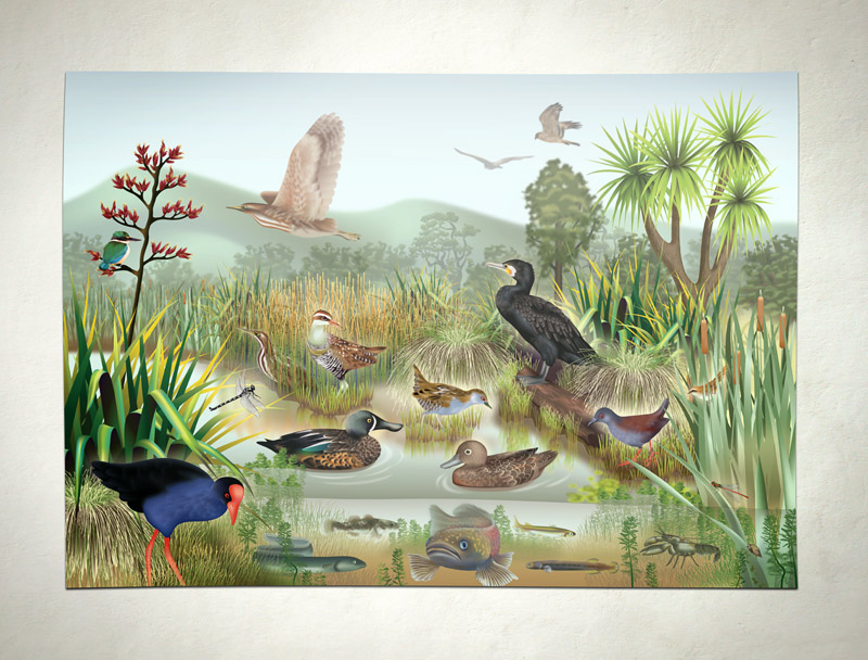 New Zealand wetland poster vector illustration