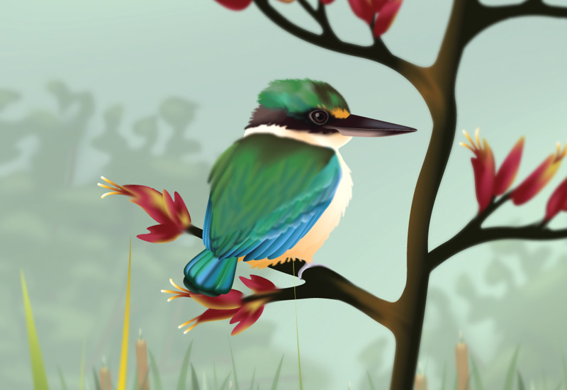 New Zealand wetland poster Kingfisher bird