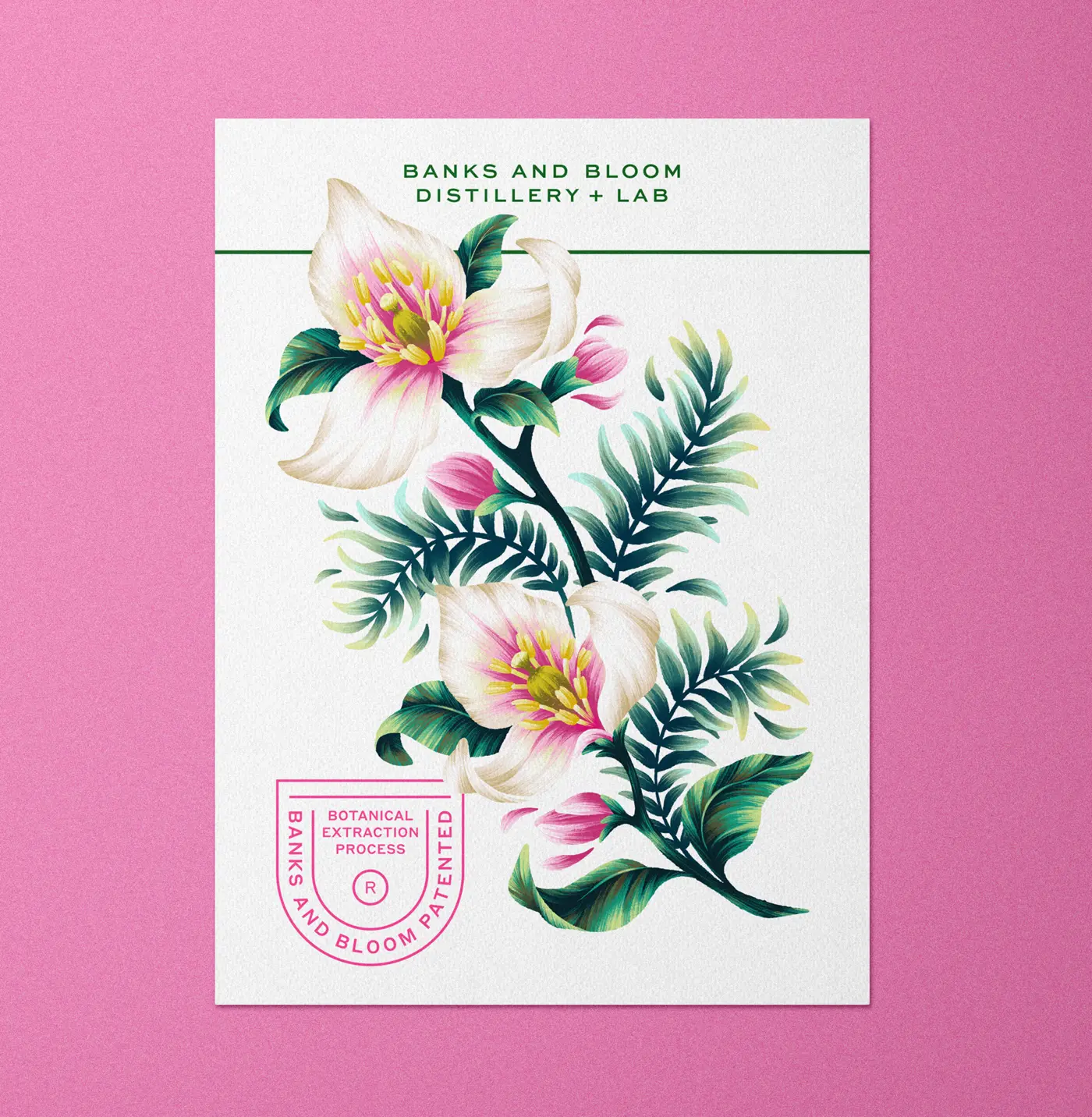 Bloodlime blossom floral illustrated postcard for Banks and Bloom distillery