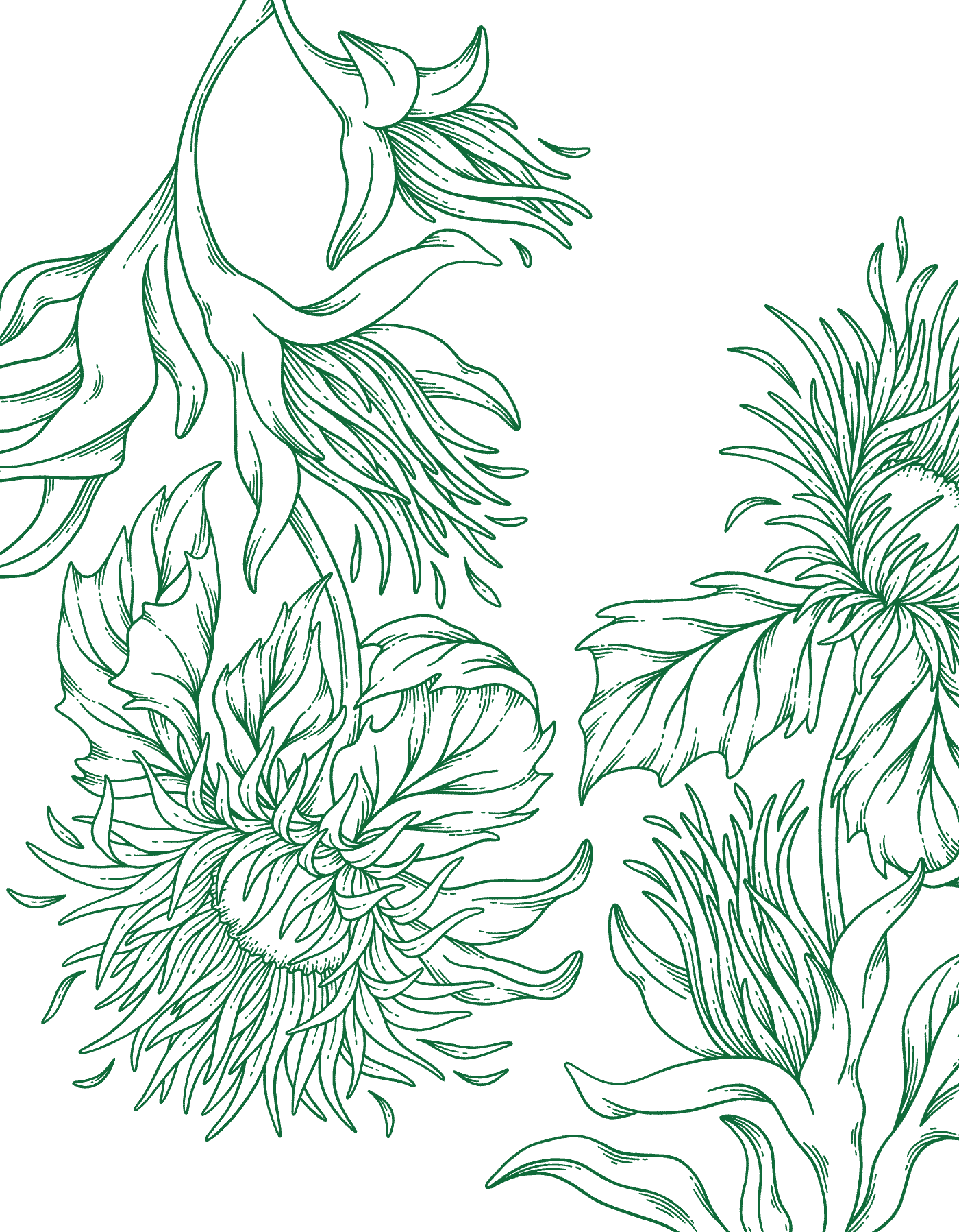 Floral vector line art single color illustrations by Andrea Muller for Banks and Bloom packaging design