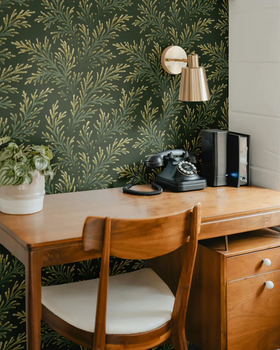 Olive green pine branches foliage cabin office wallpaper by Andrea Muller
