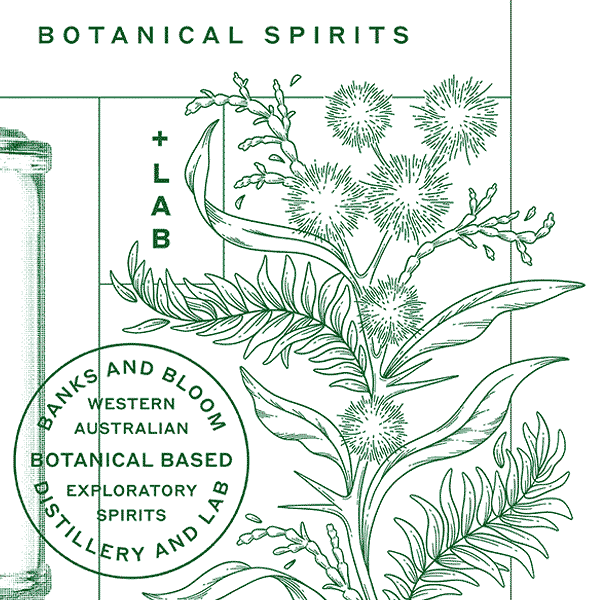 Line art native flower illustrations for spirit bottle packaging for Australian distillery Banks and Bloom by Andrea Muller