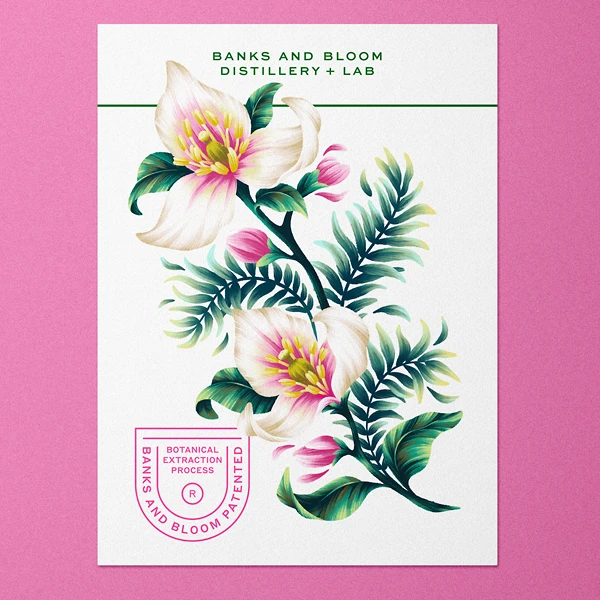 Line art native flower illustrations for spirit bottle packaging for Australian distillery Banks and Bloom by Andrea Muller