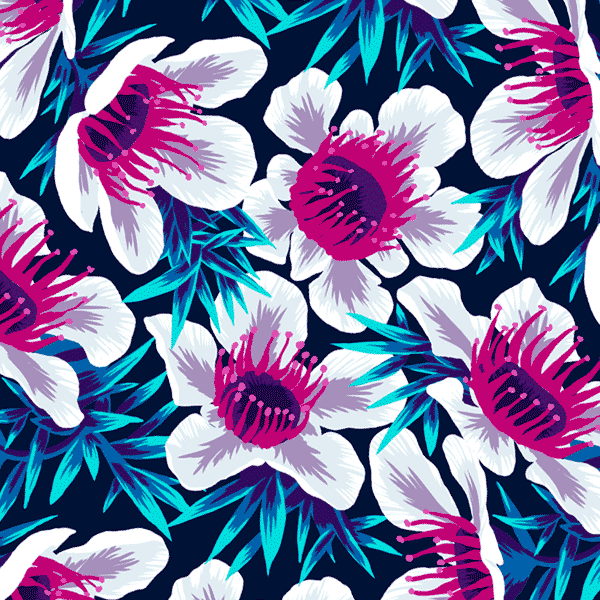 Vector pattern of native New Zealand white manuka flowers by Andrea Muller