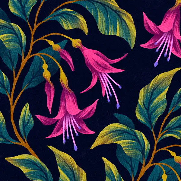 Native New Zealand florals illlustrations patterns collection by Andrea Muller