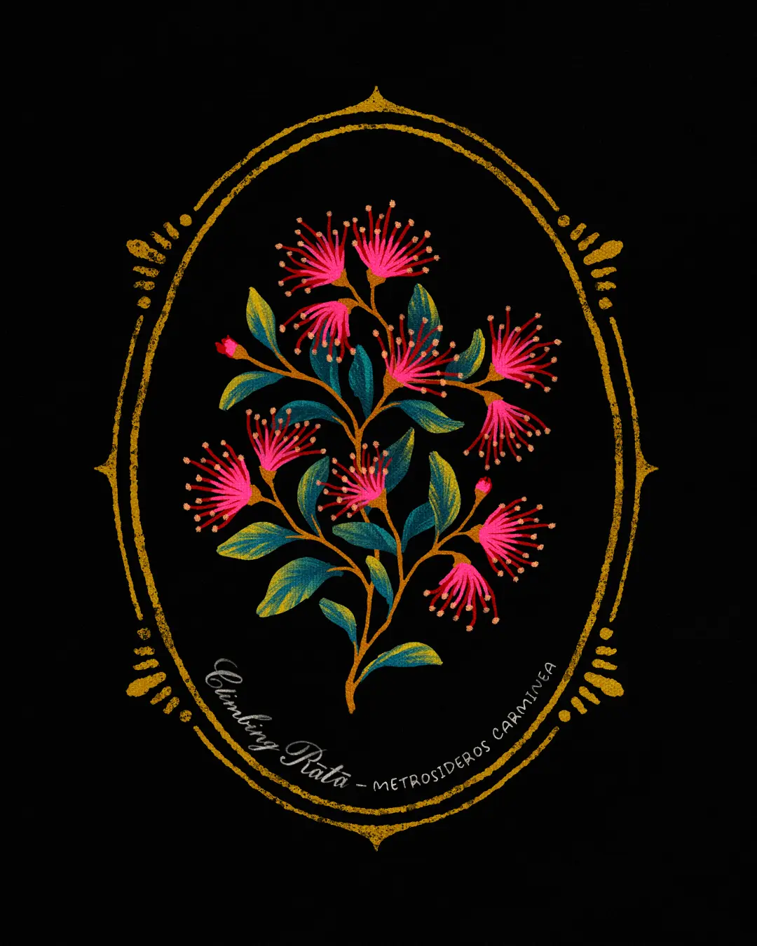 New Zealand Climbing Rata oval floral cameo illustration by Andrea Muller