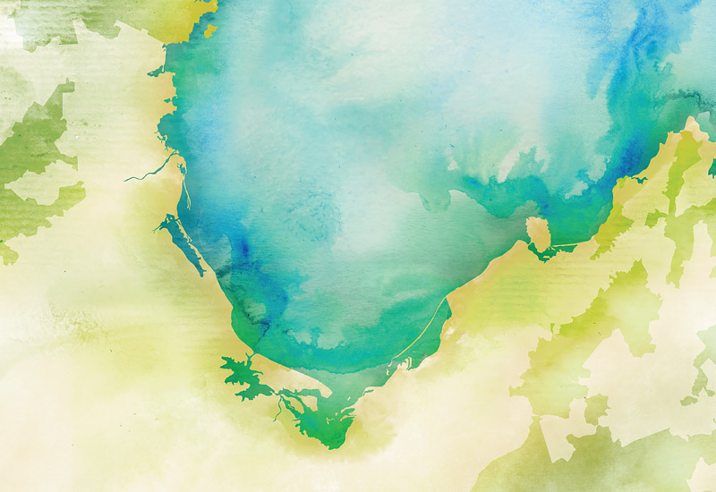 Detail of hand-painted Tasman Bay Map, Nelson