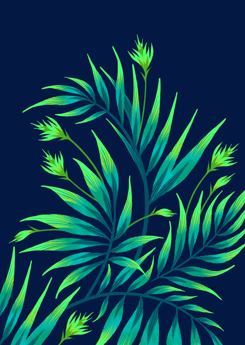 Waikiki Palm green leaf artwork illustration by Andrea Muller